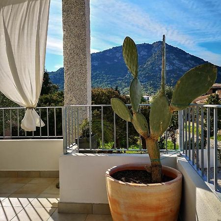 B&B Limone San Teodoro  Extérieur photo
