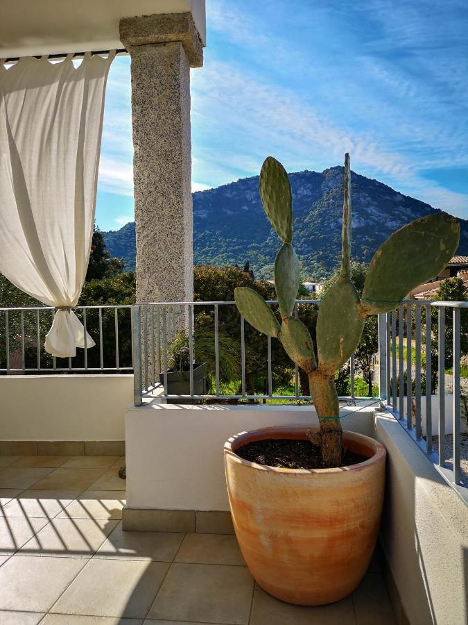 B&B Limone San Teodoro  Extérieur photo